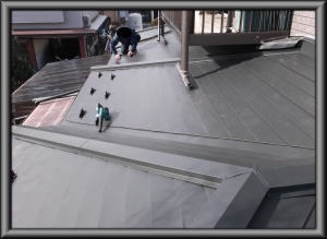 松川村の住宅/屋根葺き替え/１階南側ガルバリウム鋼板横平葺工事完成画像