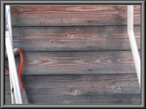 池田町の住宅/外壁木板塗装工事前画像.3