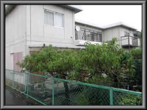 松本市の住宅/外壁塗装工事前画像.3