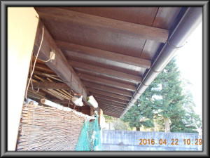 安曇野市の物置/外壁サイディング塗装　木板 軒天塗装2回目塗装工事画像