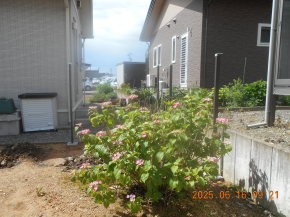 쌧ܖs䍂̏Z/Z/tFXVKH xݒuH 摜.1