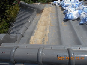 쌧咬sЂ̏Z/ 蓏 PH 摜.1