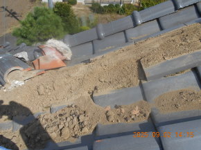 쌧咬sЂ̏Z/ 蓏 PH 摜