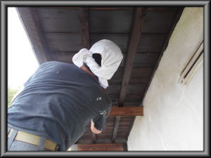 安曇野市の住宅/軒天 １回目の塗装工事画像