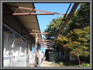 北安曇郡麻績村の住宅/トタン波板撤去工事画像