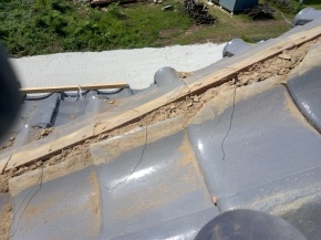 쌧ܖs̏Z/ 蓏C PH.1