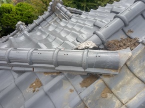 쌧咬s̏Z/ 蓏 CH 摜