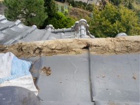 쌧咬sЂ̏Z/ 蓏 PH.2 摜.1