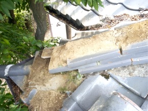 ���쌧�咬�s�̏Z��/������ ���蓏 ��C�H�� �摜