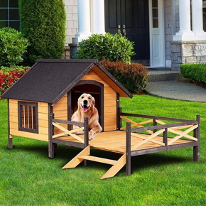 犬猫の遊び場　家の自宅前に犬の遊び場　落ち着く場所 犬のお家を考えよう