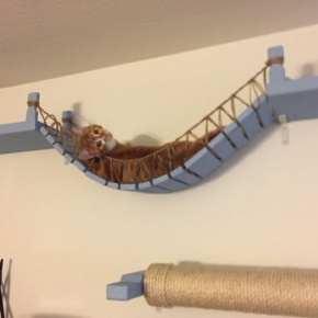 猫ちゃんもご機嫌そうな吊り橋です。